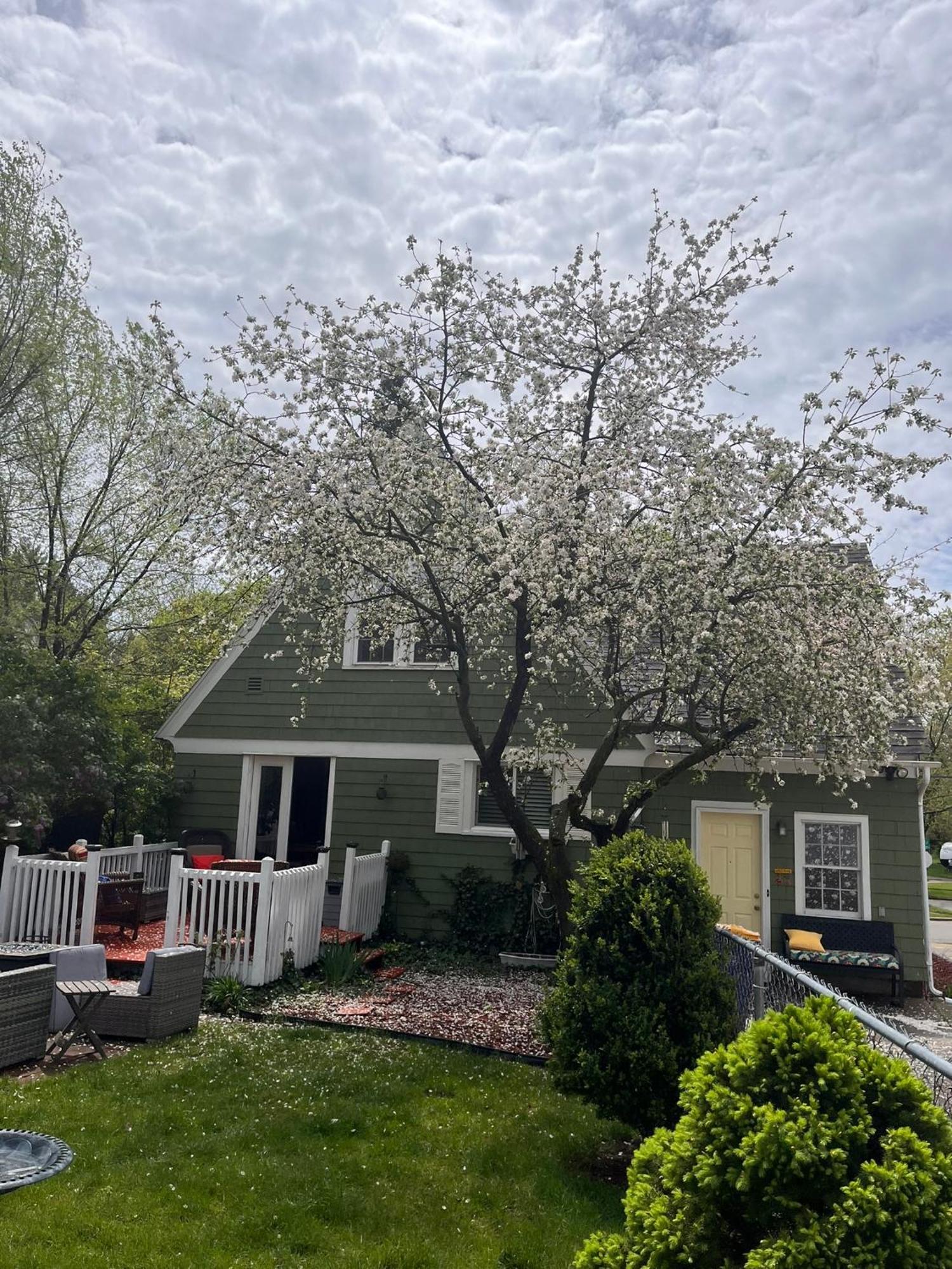 Cozy Cape Cod Villa Grand Rapids Exterior photo